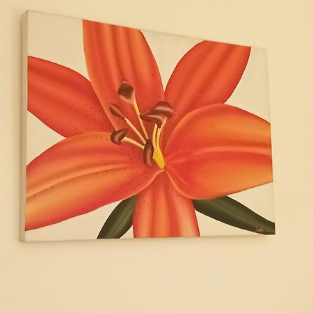 Appartement Croisette Sainte-Maxime Kültér fotó